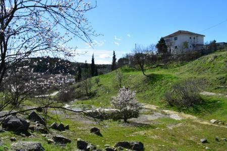 Oasis Of Calmnessε Vila Ardani Exterior foto